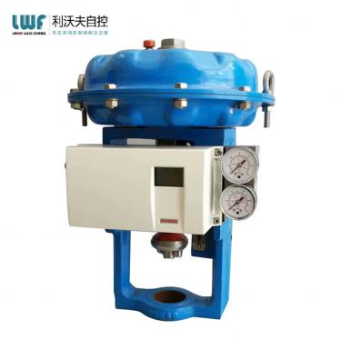 大菠萝网站污定位器