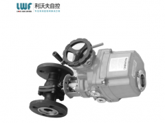 什么是电动大菠萝视频黄色软件？选择时需注意哪些事项？