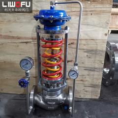 自力式压力菠萝视频下载APP网址：自主调节的智慧，确保系统稳定运行