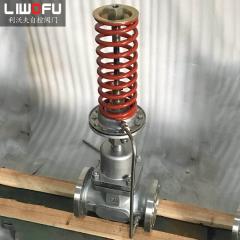 自力式压力菠萝视频下载APP网址：科技引领，压力控制新篇章