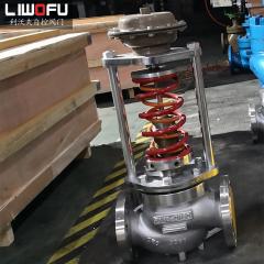 自力式压力菠萝视频下载APP网址：稳定压力，保障设备长期运行