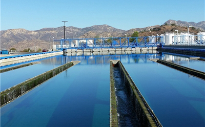 水处理菠萝视频下载APP网址